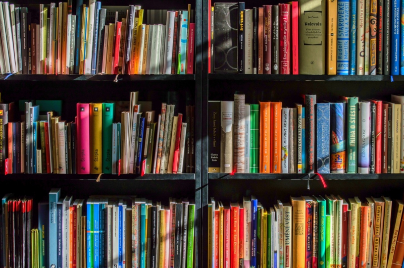 boutique-LA CADIERE D AZUR-min_books_bookstore_book_reading_shop_writer_sale_books_read-822866